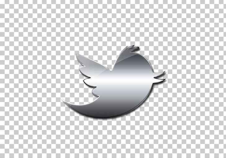 Logo Social Media Computer Icons Silver PNG, Clipart, Bird, Black And White, Computer Icons, Computer Wallpaper, Facebook Free PNG Download
