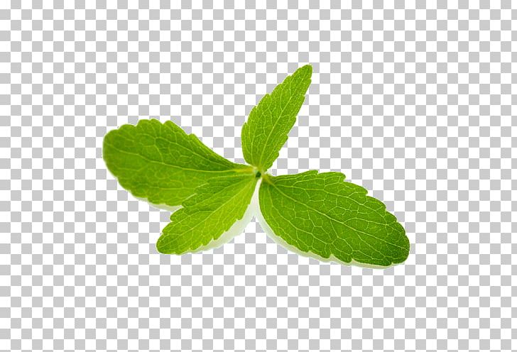 Stevia Rebaudioside A Extract Sugar Substitute Calorie PNG, Clipart, Antioxidant, Blueberry Leaf, Calorie, Erythritol, Essential Amino Acid Free PNG Download