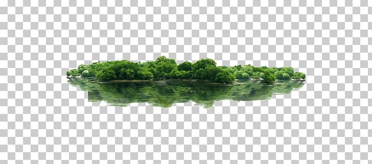 Thousand Island Lake Green PNG, Clipart, Architecture, Call Center, Center, Data Center, Download Free PNG Download