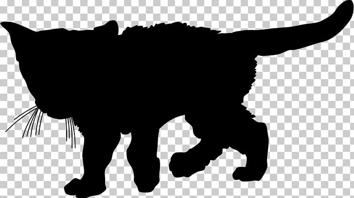 Whiskers Somali Cat Wildcat Kitten Silhouette PNG, Clipart, Animals, Black, Black And White, Carnivoran, Cat Free PNG Download