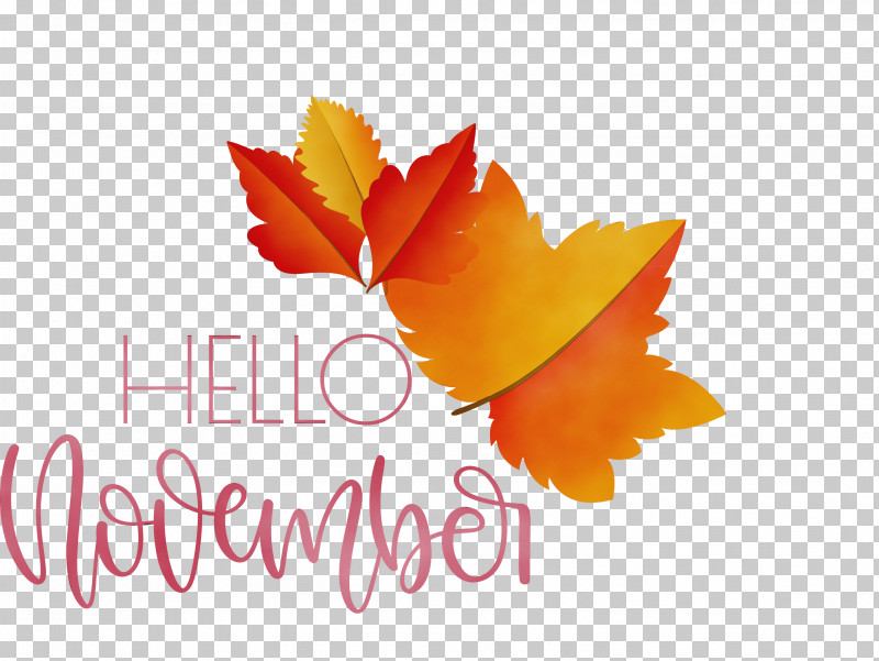 Flower Petal Font Meter Plant PNG, Clipart, Biology, Flower, Hello November, Meter, November Free PNG Download