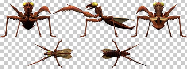 Ant Kamacuras Godzilla Minilla Manda PNG, Clipart, Ant, Art, Arthropod, Deviantart, Digital Art Free PNG Download