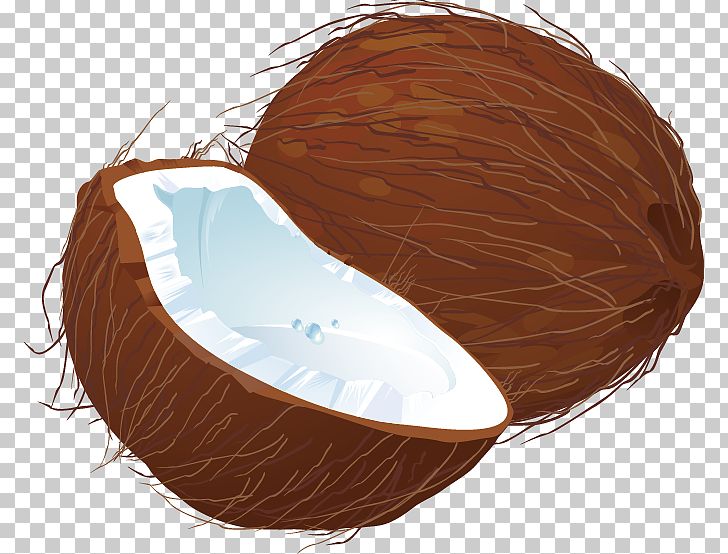 Coconut PNG, Clipart, Android Application Package, Brown, Chocolate, Coconut Leaf, Coconut Leaves Free PNG Download