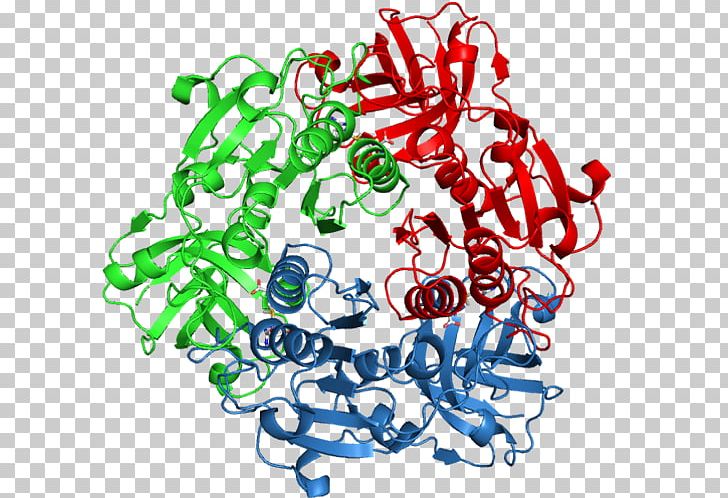 Fluorinase Enzyme Commission Number S-Adenosyl Methionine Catalysis Fluoride PNG, Clipart, Area, Biosynthesis, Catalysis, Circle, Cofactor Free PNG Download