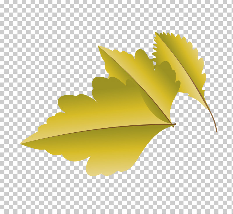 Leaf Yellow Computer M-tree Meter PNG, Clipart, Autumn Leaf, Biology, Cartoon Leaf, Computer, Fall Leaf Free PNG Download