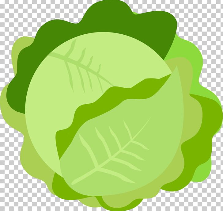 Fruit Vegetable Illustration PNG, Clipart, Ball, Cabbage, Cartoon, Cartoon Cabbage, Circle Free PNG Download
