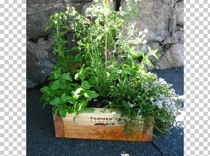 Herb Flowerpot Flower Box Window Garden PNG, Clipart, Box, Cedar Wood, Fines Herbes, Flower, Flower Box Free PNG Download