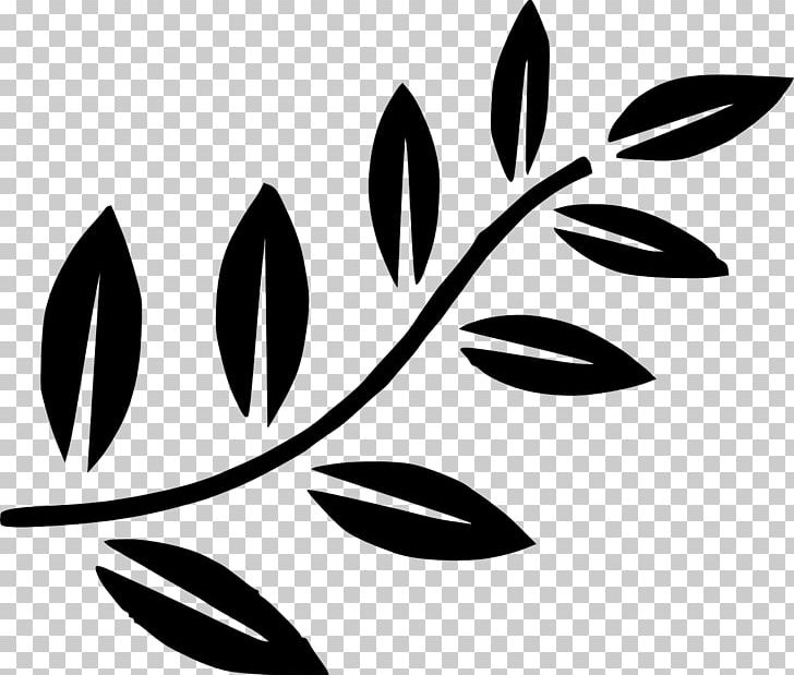 Olive Branch PNG, Clipart, Black, Black And White, Branch, Computer Icons, Desktop Wallpaper Free PNG Download