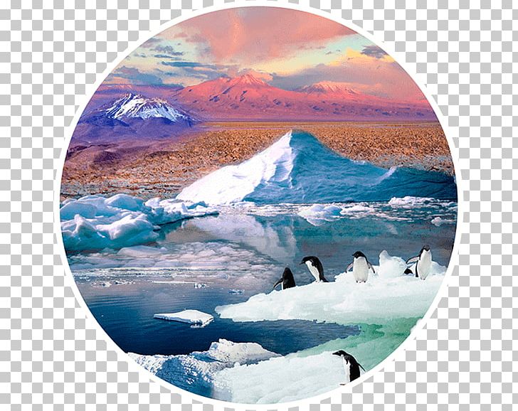 Arctic Polar Ice Cap Polar Regions Of Earth Glacier Sea Ice PNG, Clipart, Arctic, Arctic Ocean, Climate Change, Geological Phenomenon, Glacial Landform Free PNG Download
