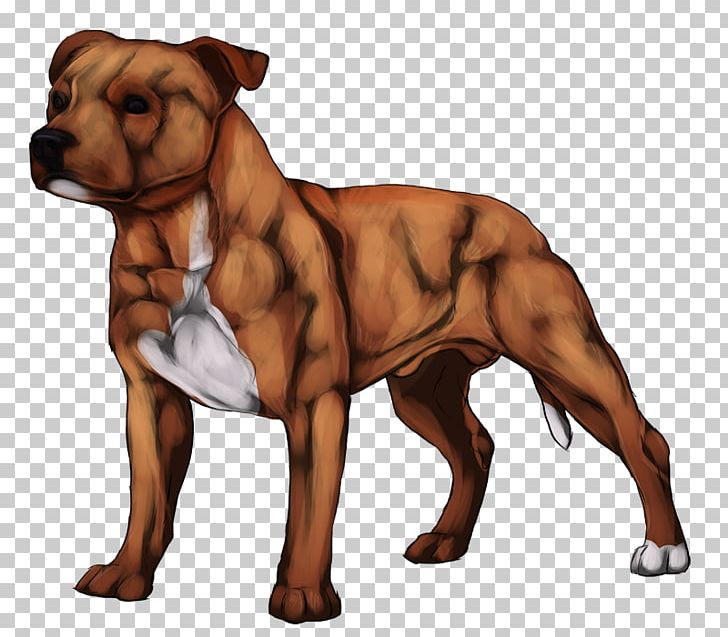 Dog Breed American Pit Bull Terrier Snout PNG, Clipart, American Pit Bull Terrier, Breed, Carnivoran, Dog, Dog Breed Free PNG Download