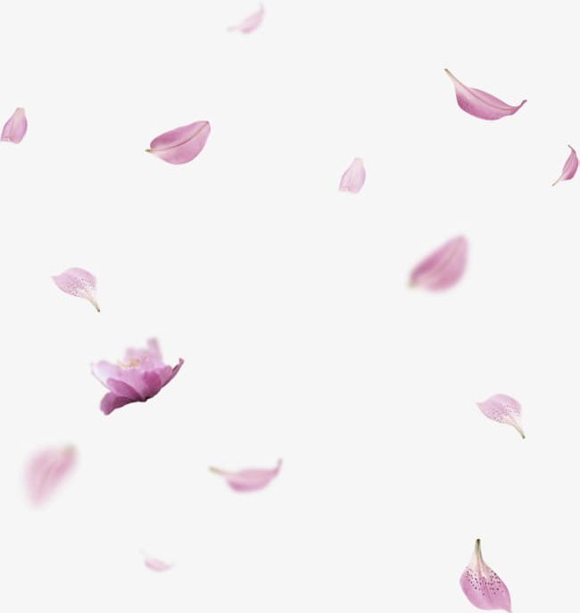 Lavender Fresh Flowers Petal Floating Material PNG, Clipart, Floating, Floating Clipart, Floating Material, Flowers, Flowers Clipart Free PNG Download