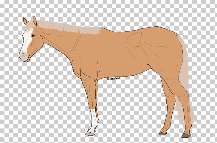 Mule Foal Stallion Colt Mare PNG, Clipart, Animal Figure, Bridle, Canter And Gallop, Colt, Foal Free PNG Download