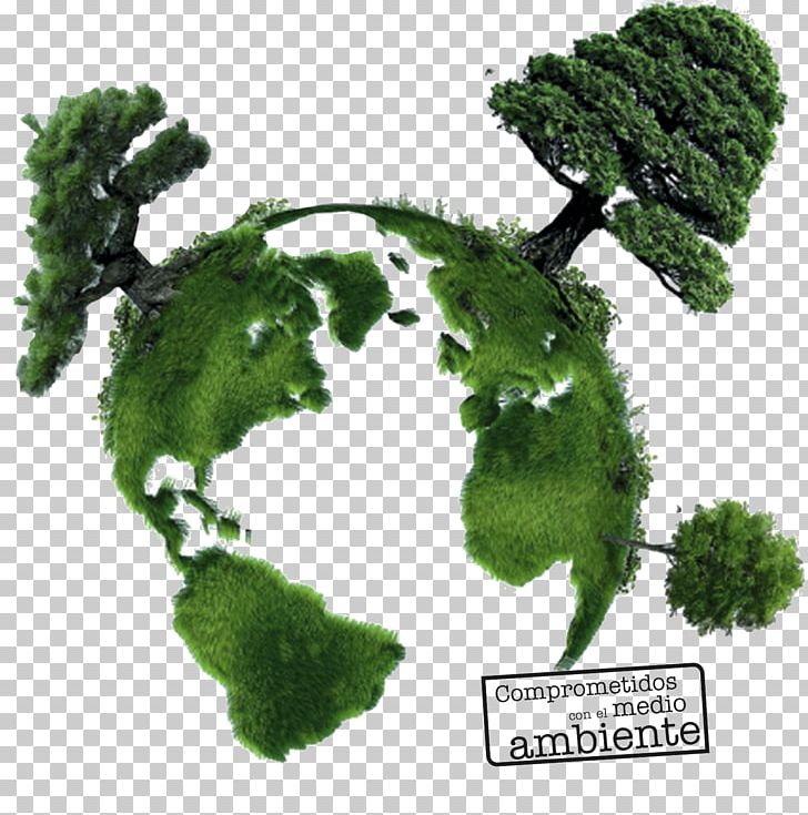 Natural Environment Environmentally Friendly Desktop Earth Recycling PNG, Clipart, Coffee Trifold, Desktop Wallpaper, Earth, Environmentally Friendly, Environmental Protection Free PNG Download
