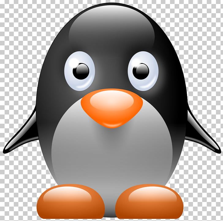 Penguin Tux PNG, Clipart, Beak, Bird, Cartoon, Computer Icons, Drawing Free PNG Download