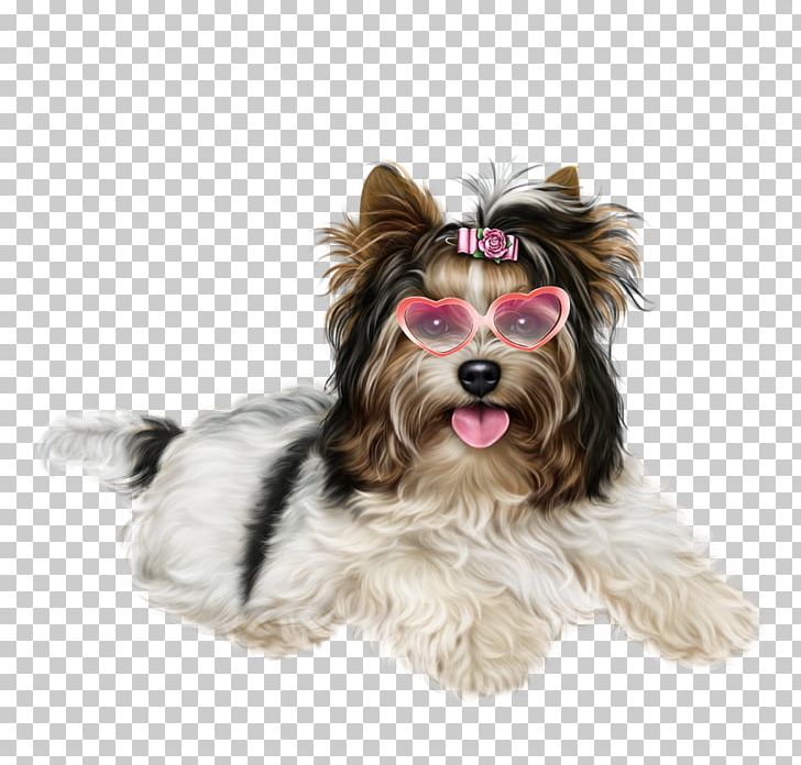Yorkshire Terrier Puppy Desktop PNG, Clipart, 2018, Animals, Biewer Terrier, Carnivoran, Cat Free PNG Download