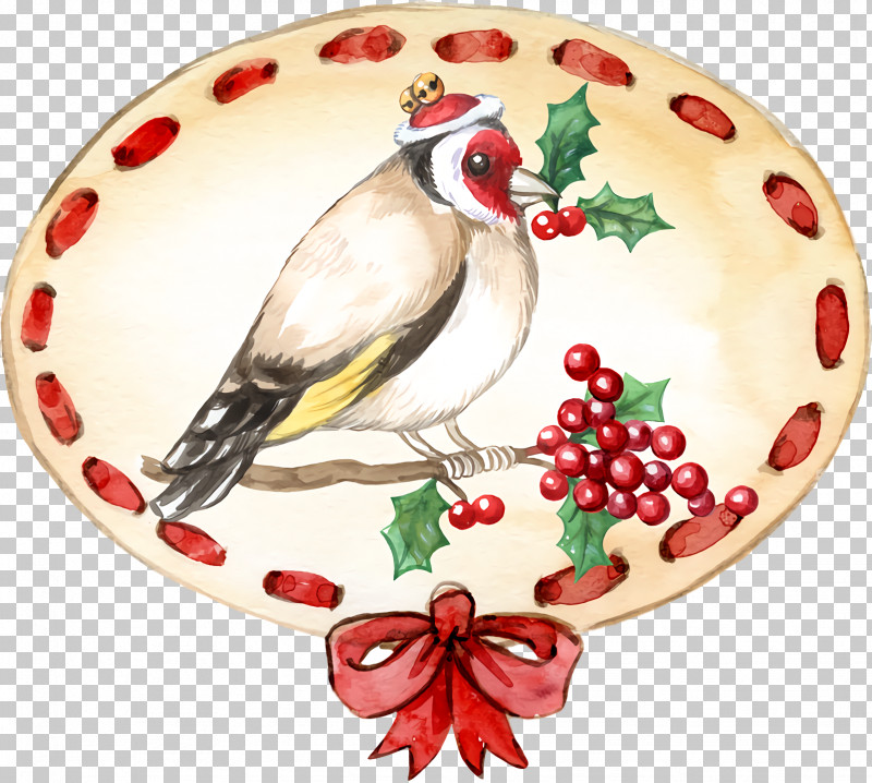 Christmas Ornament PNG, Clipart, Aquifoliales, Beak, Chicken, Christmas Day, Christmas Ornament Free PNG Download