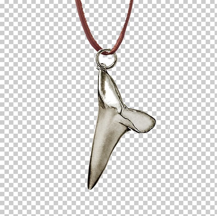 Charms & Pendants Necklace Body Jewellery PNG, Clipart, Big White Shark, Body Jewellery, Body Jewelry, Charms Pendants, Fashion Accessory Free PNG Download