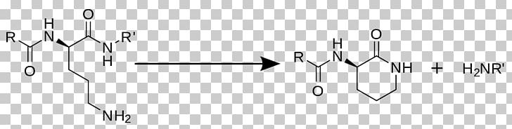 Chemical Synthesis Biochemistry Chemical Reaction Enamine PNG, Clipart, Amine, Angle, Arginine, Arm, Biochemistry Free PNG Download