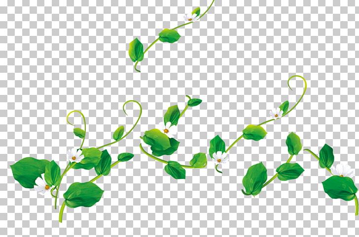 Environmental Protection Natural Environment PNG, Clipart, Banana Leaves, Banner, Branch, Display Resolution, Download Free PNG Download