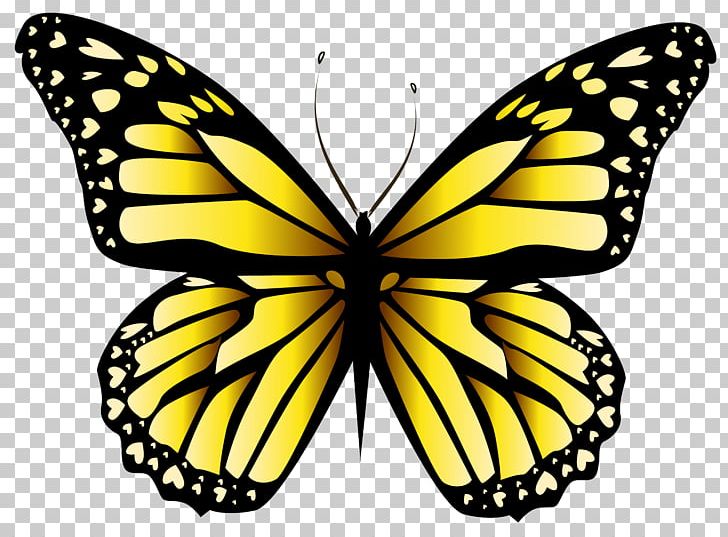 Butterfly Blue PNG, Clipart, Arthropod, Blue, Brush Footed Butterfly, Color, Desktop Wallpaper Free PNG Download