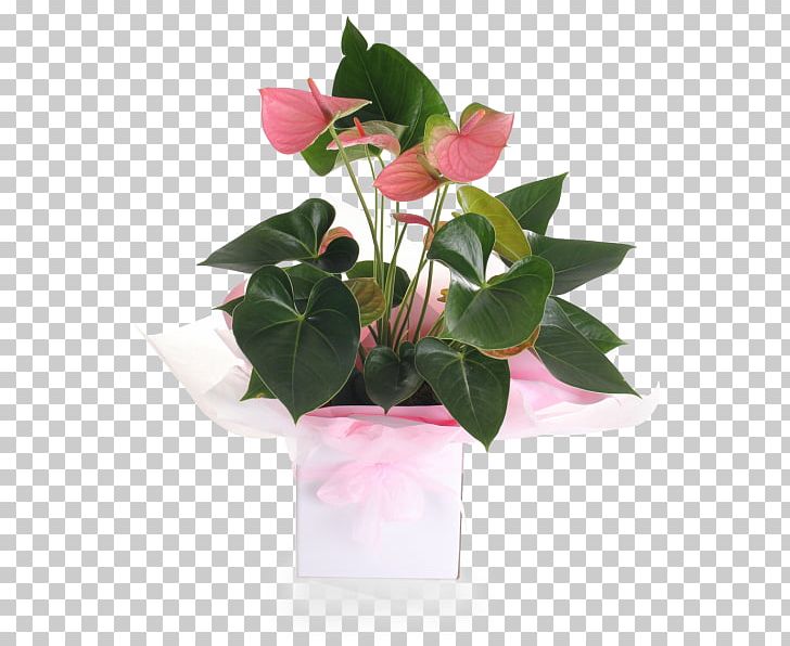 Floral Design Flowerpot Cut Flowers PNG, Clipart, Artificial Flower, Cut Flowers, Family, Flora, Floral Design Free PNG Download
