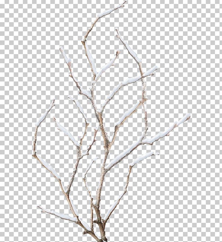 Twig Branch Photography PNG, Clipart, Black And White, Branch, Clip Art, Download, Drawing Free PNG Download