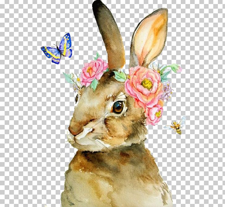 Watercolor Painting The Tale Of Peter Rabbit PNG, Clipart, Animals, Art, Domestic Rabbit, Drawing, Easter Bunny Free PNG Download