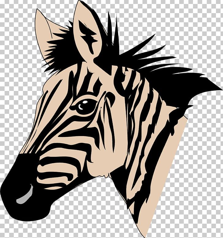 Zebra PNG, Clipart, Animals, Black And White, Blog, Computer Icons, Facebook Free PNG Download