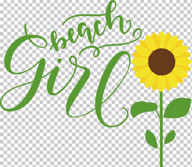 Beach Girl Summer PNG, Clipart, Beach Girl, Cut Flowers, Daisy Family, Floral Design, Flower Free PNG Download