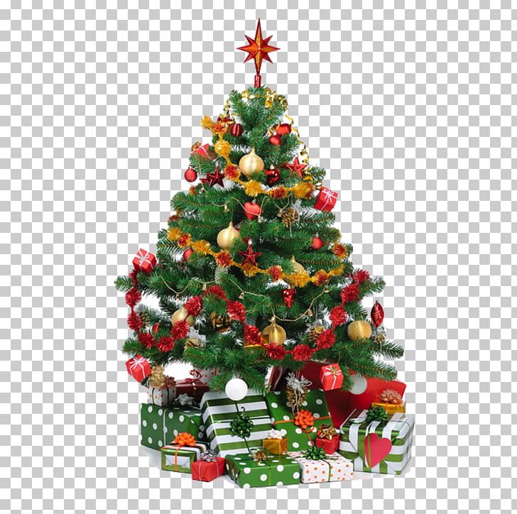 Christmas Tree Gift Noble Fir PNG, Clipart, Christmas, Christmas Decoration, Christmas Ornament, Christmas Tree, Conifer Free PNG Download