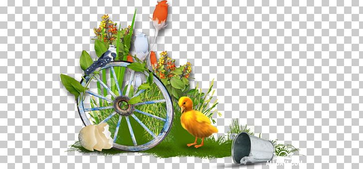 Desktop Easter Bunny PNG, Clipart, 1080p, Bird, Computer Wallpaper, Desktop Wallpaper, Display Resolution Free PNG Download