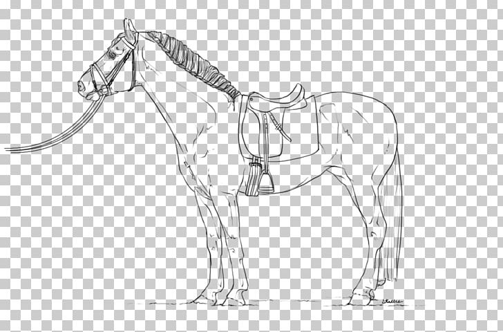 Horse Line Art Dressage Equestrian Drawing PNG, Clipart, Animals, Artwork, Bit, Black And White, Bridle Free PNG Download
