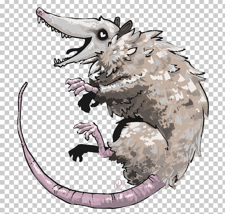 Opossum Pacific Crest Trail Sketchbook Snout Carnivora PNG, Clipart, 16 June, Carnivora, Carnivoran, Cartoon, Claw Free PNG Download