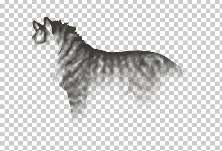 Whiskers Tiger Cat Dog Breed Horse PNG, Clipart, Animals, Big Cat, Big Cats, Black And White, Carnivoran Free PNG Download