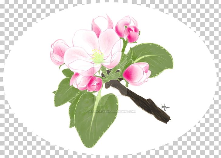 Bud Herbaceous Plant PNG, Clipart, Apple Blossom, Blossom, Branch, Bud, Flower Free PNG Download