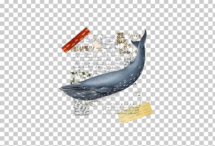 Collage Whale Art Poster PNG, Clipart, Animal, Animals, Architecture, Art, Background Black Free PNG Download