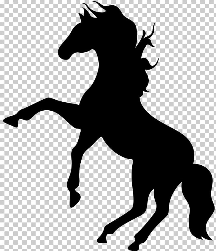 Mustang Stallion Rearing PNG, Clipart, Black, Black And White, Collection, Colt, Equestrian Sport Free PNG Download