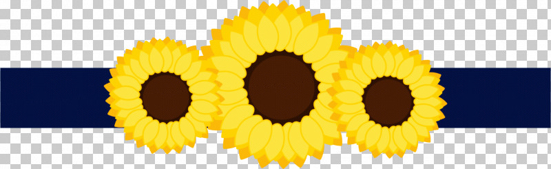 Sunflower PNG, Clipart, Circle, Daisy Family, Flower, Petal, Plant Free PNG Download