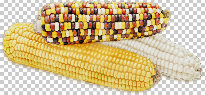 Corn On The Cob Sweet Corn Vegetarian Cuisine Corn Kernel Commodity PNG, Clipart, Commodity, Corn Kernel, Corn On The Cob, Paint, Sweet Corn Free PNG Download