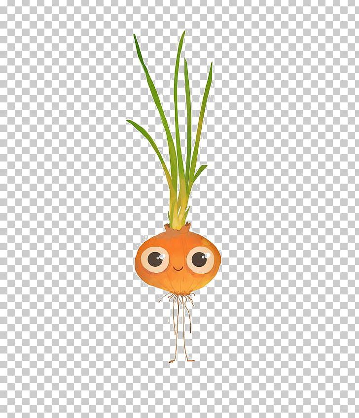 Carrot Juice Vegetable PNG, Clipart, Boy Cartoon, Carrot, Carrot Illustrations, Carrots, Cartoon Free PNG Download