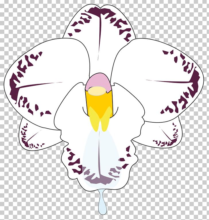 Flower Orchids PNG, Clipart, Artwork, Beak, Clip Art, Color, Description Free PNG Download