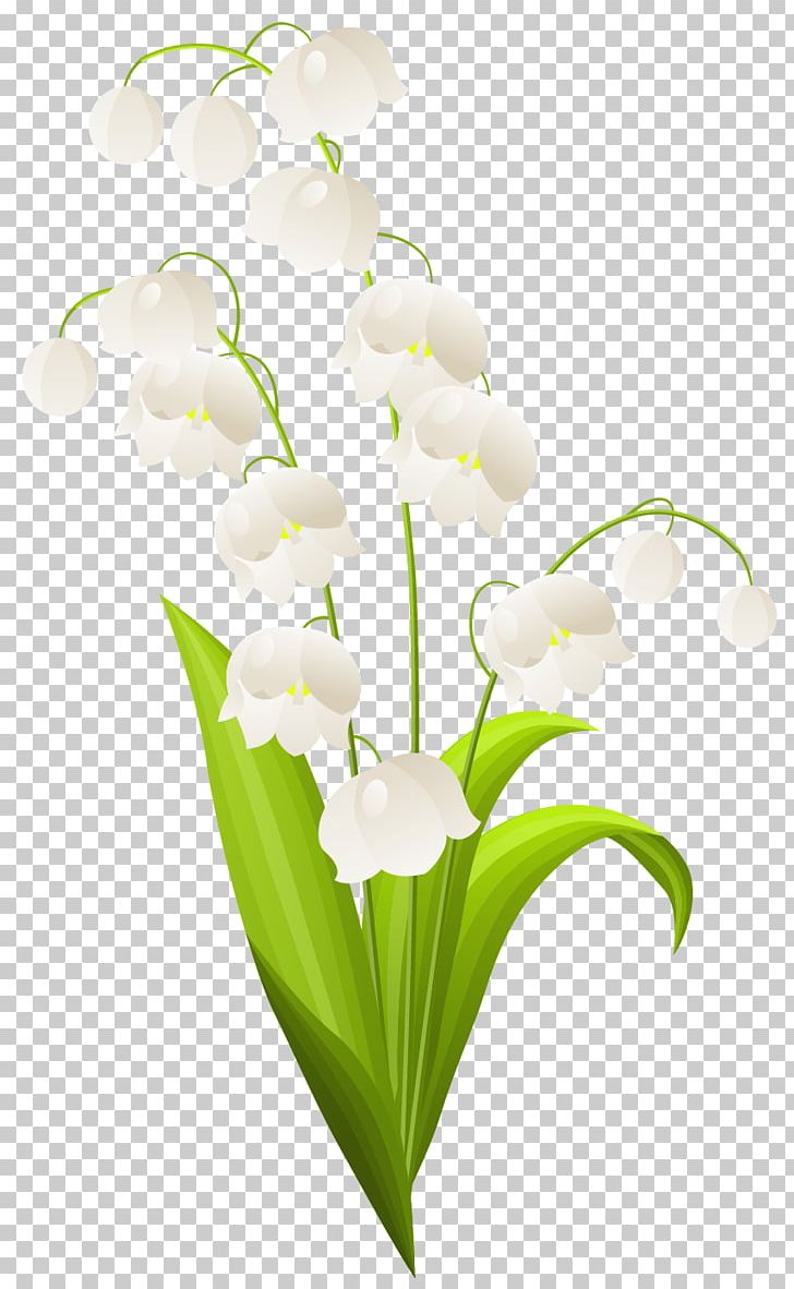 Lily Of The Valley Drawing Flower Illustration PNG, Clipart, Branch, Cut Flowers, Flora, Floral Design, Floristry Free PNG Download