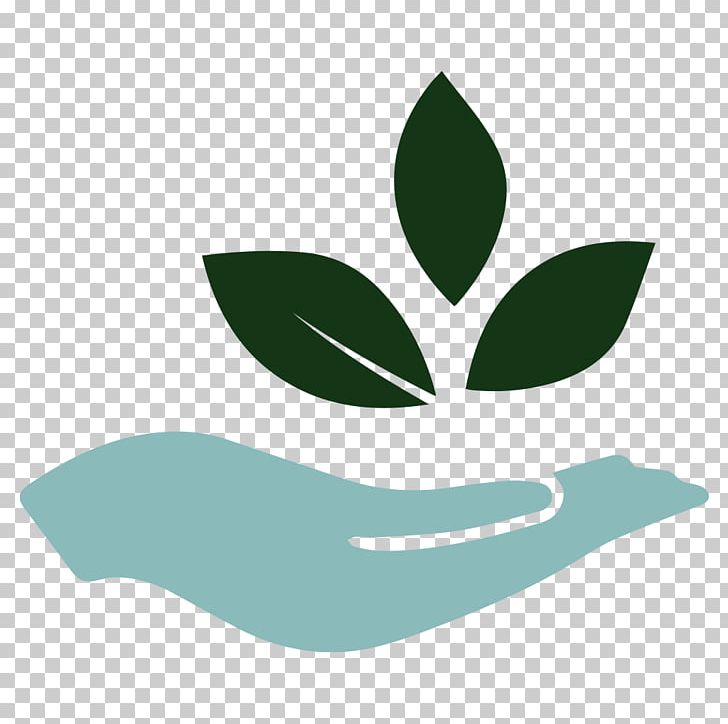 Natural Environment Growing Soybeans Computer Icons Business Service PNG, Clipart, Business, Computer Icons, Environmental Degradation, Financial Plan, Flower Free PNG Download