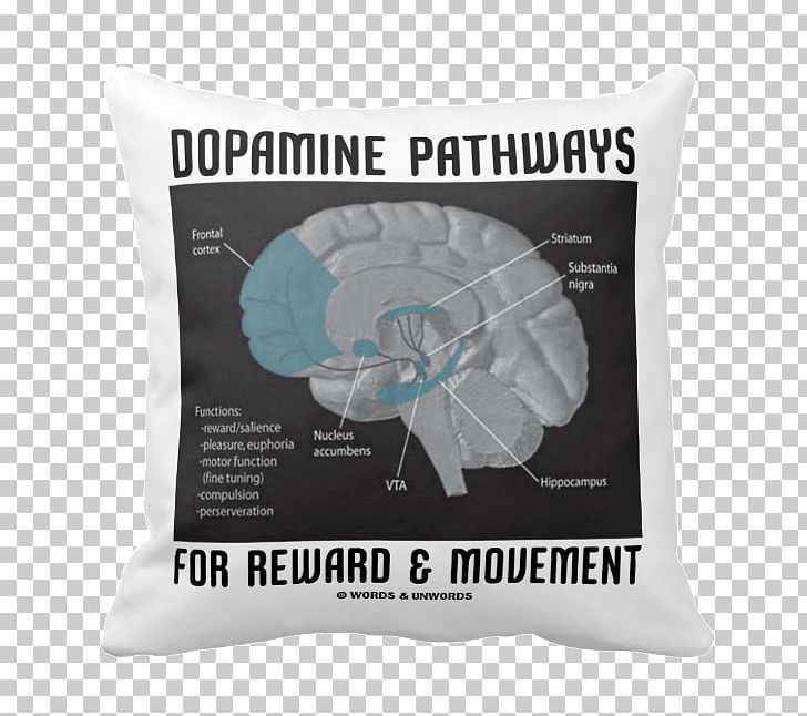 Human Brain Dopamine Neuroanatomy Limbic System PNG, Clipart, Addiction, Amygdala, Anorexia Nervosa, Brain, Brain Damage Free PNG Download