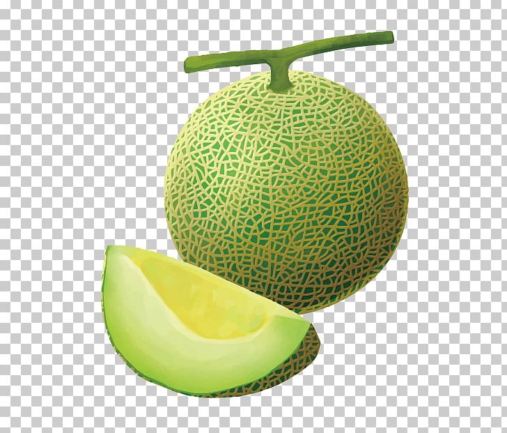 Honeydew Cantaloupe 3D Computer Graphics PNG, Clipart, 3d Computer Graphics, Cartoon, Cartoon Character, Cartoon Eyes, Citrus Free PNG Download