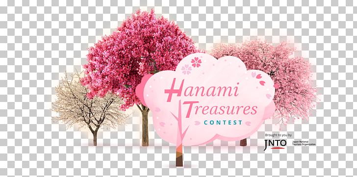 Japanese Hanami Experience Desktop PNG, Clipart, Brand, Competition, Computer, Computer Wallpaper, Desktop Wallpaper Free PNG Download