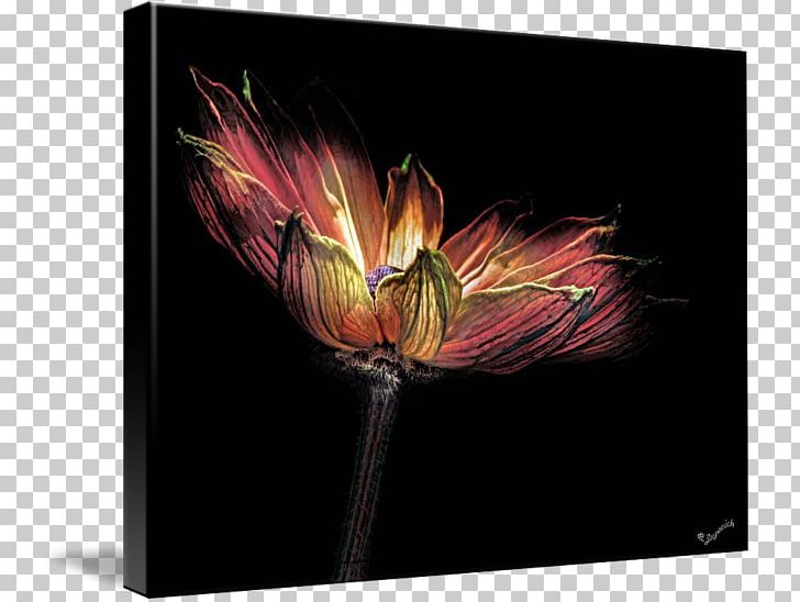 Tulip Modern Art Desktop Petal PNG, Clipart, Art, Computer, Computer Wallpaper, Desktop Wallpaper, Flower Free PNG Download