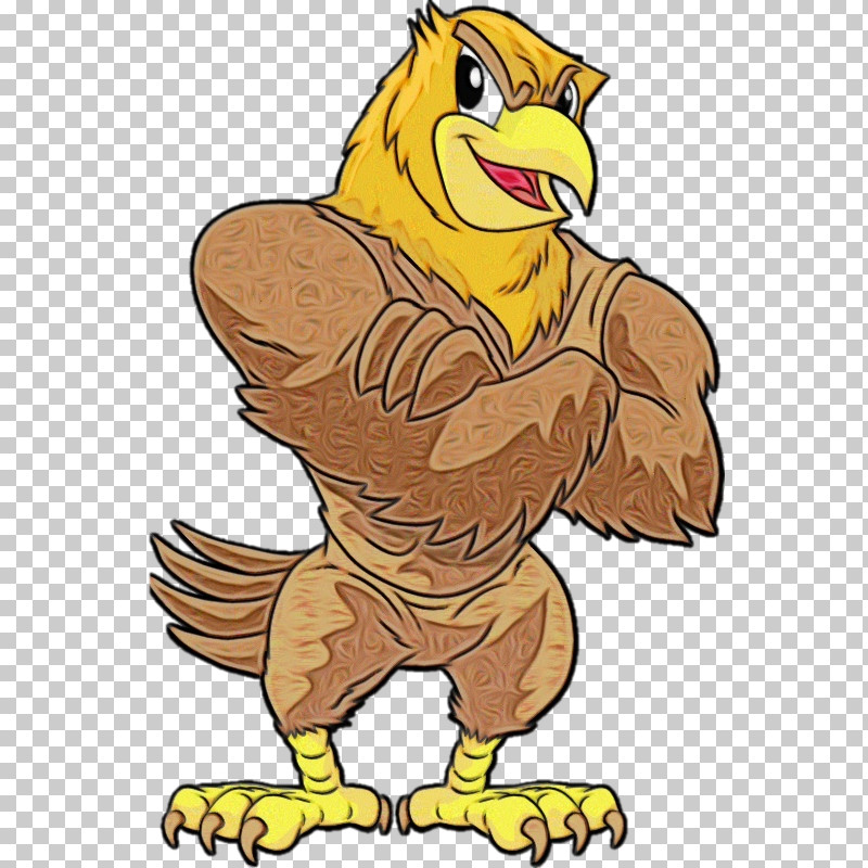 Cartoon Bird Eagle Beak Hawk PNG, Clipart, Beak, Bird, Bird Of Prey, Cartoon, Eagle Free PNG Download
