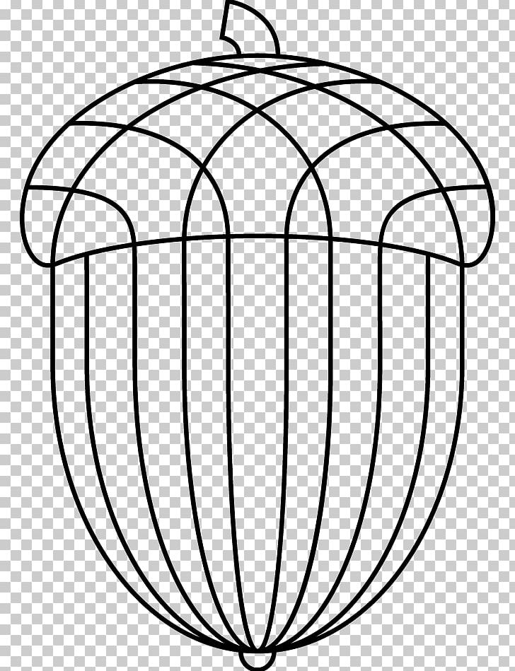 Acorn Quercus Muehlenbergii Drawing Line Art PNG, Clipart, Acorn, Acorn Drawing, Area, Basket, Black And White Free PNG Download