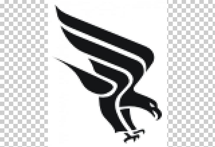 Car Beak Falcon Airplane Bird PNG, Clipart, Airplane, Beak, Bird, Bird Of Prey, Black Free PNG Download